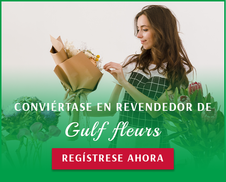 CONVIÉRTASE EN REVENDEDOR